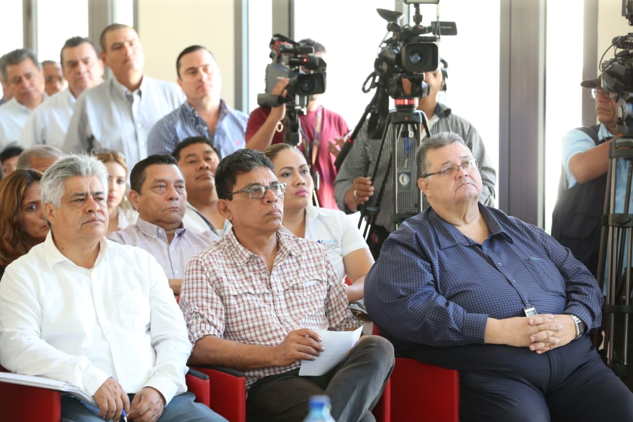 DESARROLLO1